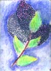 2005_04_ec