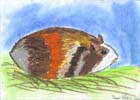 2004_02_kn