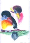2005_03_mp
