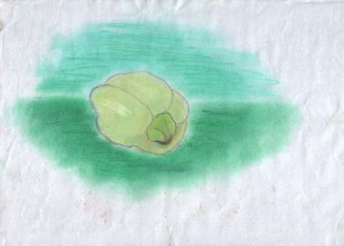 2003_12_zj