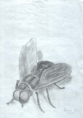 2004_09_zj