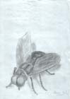 2004_09_zj